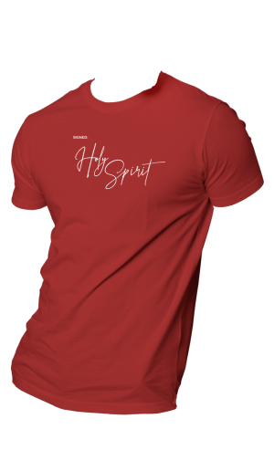 HOG "SHS" Wine Colour T-shirt.